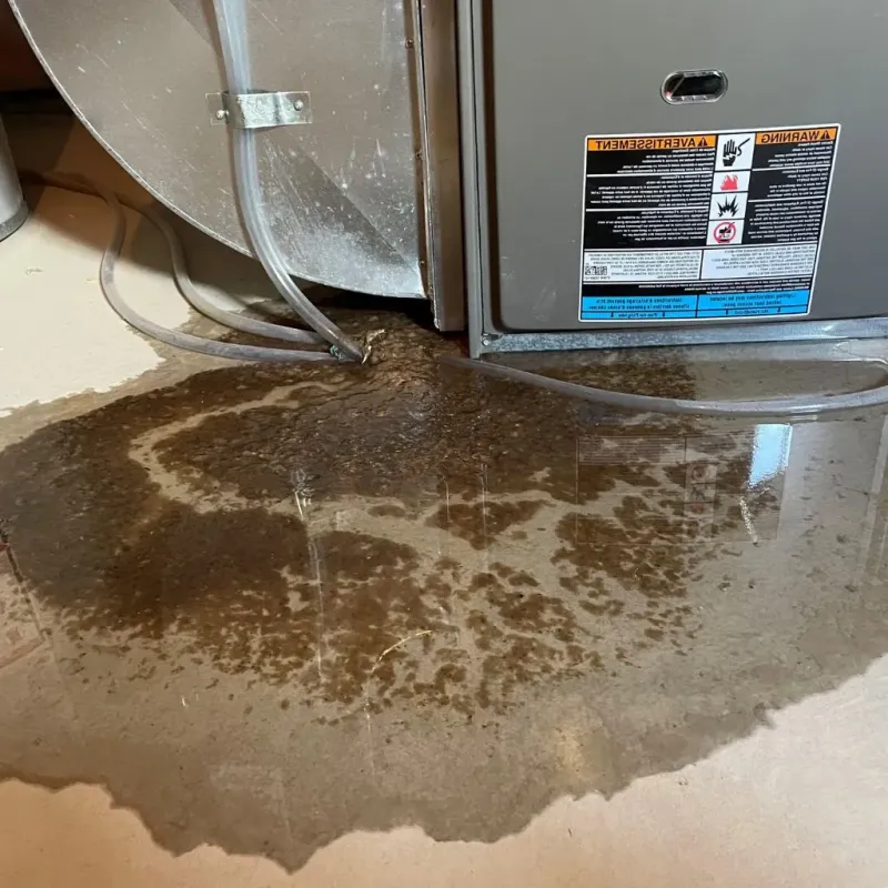 Pipe Burst and Leak Restoration in Pleasantville, NY